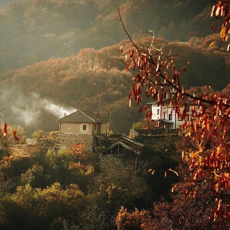 Yancheva Guest House Delchevo Luaran gambar