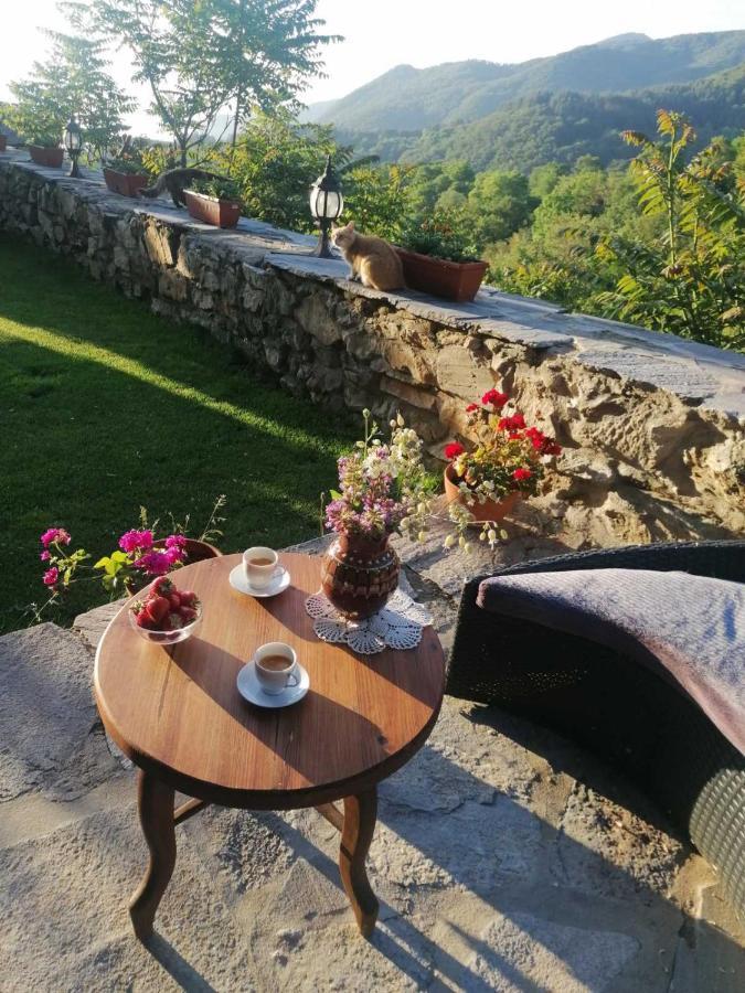 Yancheva Guest House Delchevo Luaran gambar