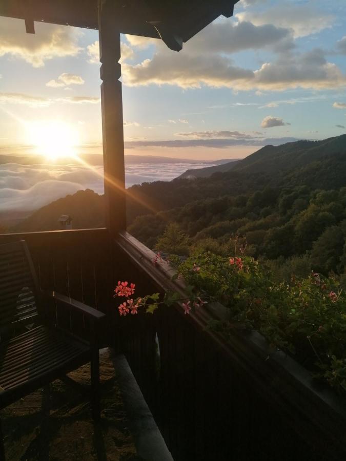 Yancheva Guest House Delchevo Luaran gambar