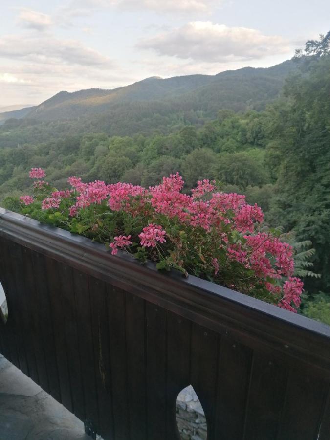 Yancheva Guest House Delchevo Luaran gambar