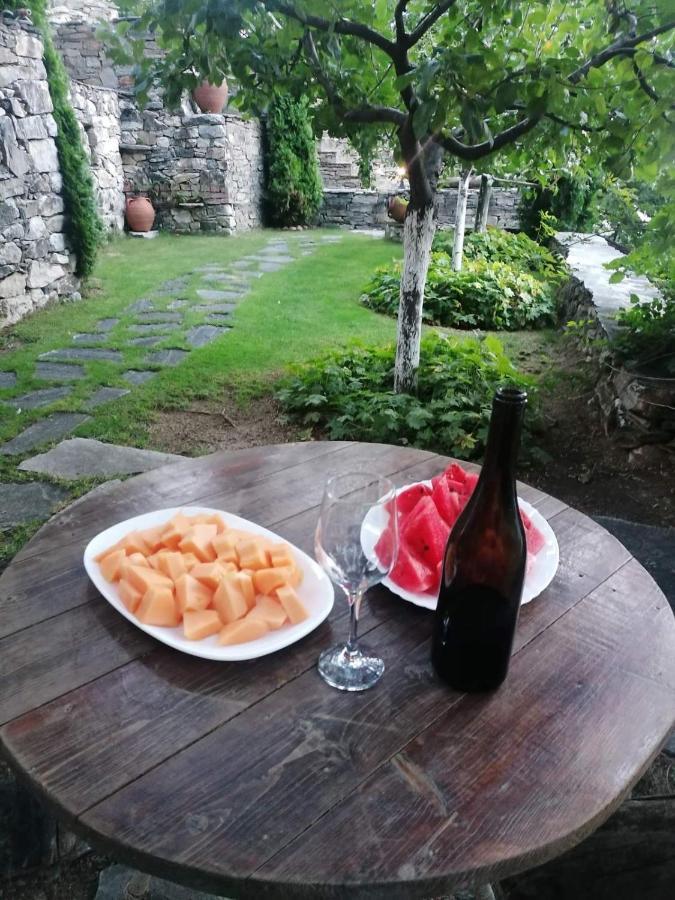 Yancheva Guest House Delchevo Luaran gambar